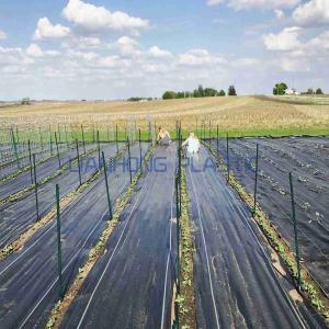 Weed Barrier Fabric: Types, Characteristics, and Corresponding Advantages Weed Barrier Fabric: Types, Characteristics, and Corresponding Advantages