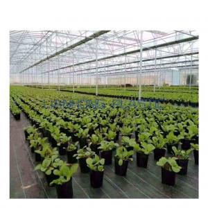 Prepare your greenhouse for the next harvest Prepare your greenhouse for the next harvest