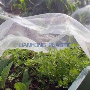 Five things you need to know about Insect Netting Five things you need to know about Insect Netting