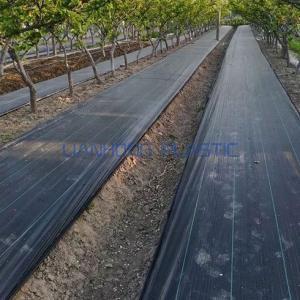 Points to choose best PP ground cover for orchard use Points to choose best PP ground cover for orchard use