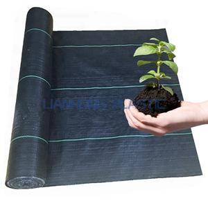 Weed cloth Weed cloth