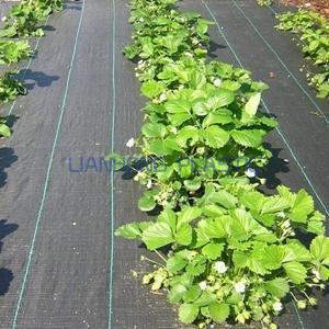 Heavy Duty Weed Barrier Fabric  Heavy Duty Weed Barrier Fabric