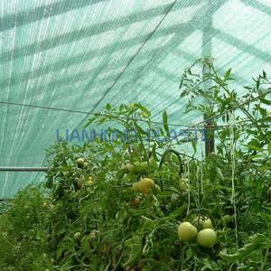 Vegetable Shade Net