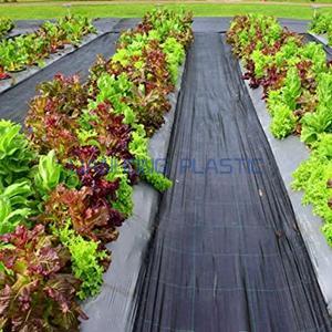 Weed Mat for Greenhouse