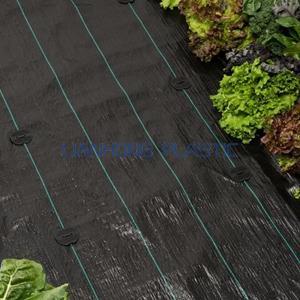Woven Weed Fabric Woven Weed Fabric