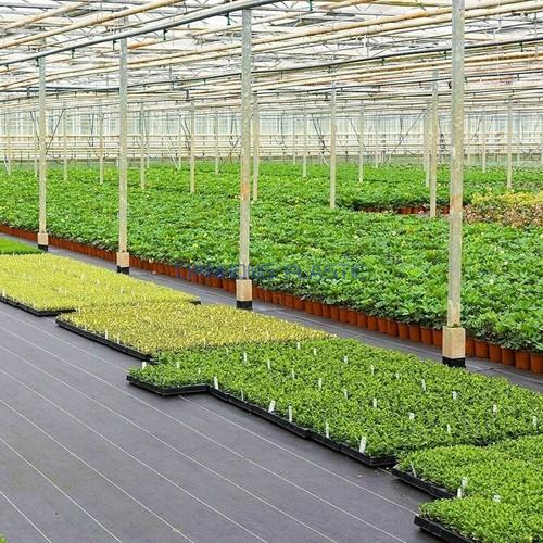 Greenhouse Weed Mat