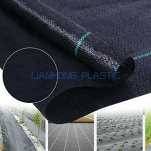 Weed Ground Cover Weed Ground Cover