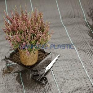PP Woven Weed Mat