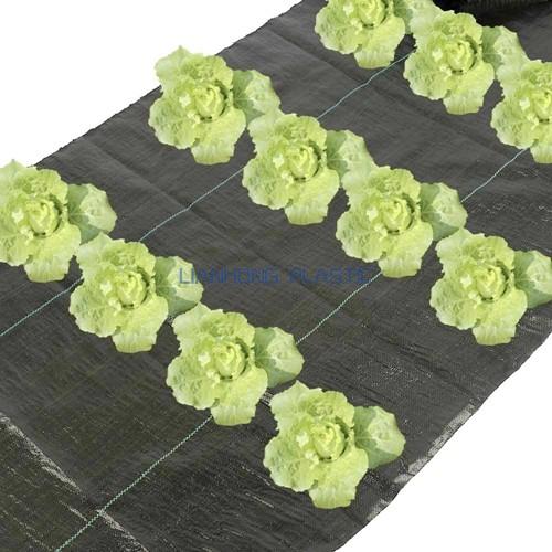 Ground Cover Mat