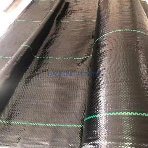 PP Woven Weed Fabric