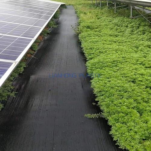 Greenhouse Weed Barrier Fabric