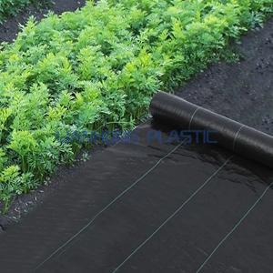 Weed Control Ground Cover Weed Control Ground Cover