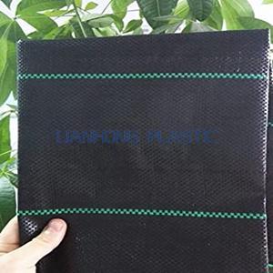 Greenhouse PP Woven Weed Control Fabric Greenhouse PP Woven Weed Control Fabric