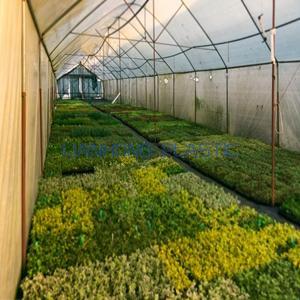 Woven Ground Cover Fabric Woven Ground Cover Fabric
